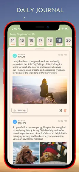 Game screenshot Daily Journal+ mod apk