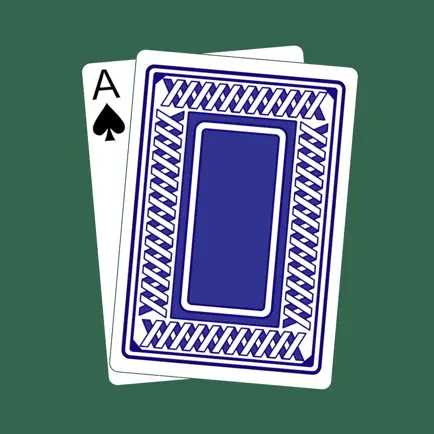 Card Counting Companion Cheats