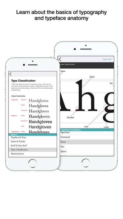 Typography Insight for iPhone screenshot-3