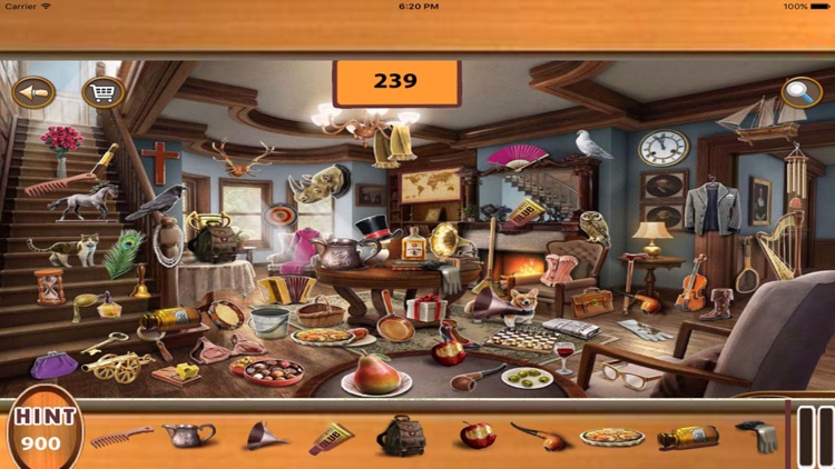 Hidden Objects : Photo Party