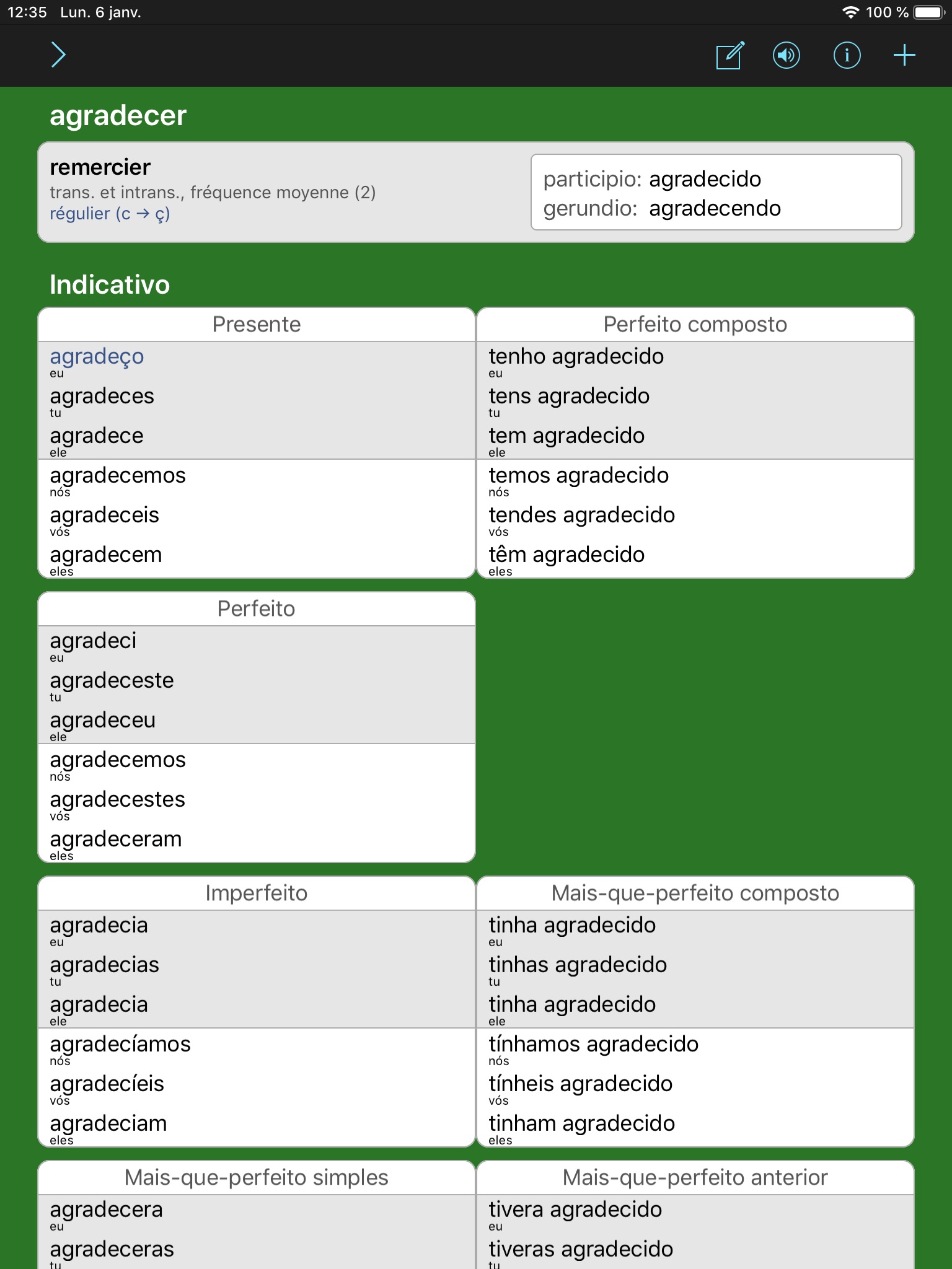 Portuguese Verbs & Conjugation screenshot 2