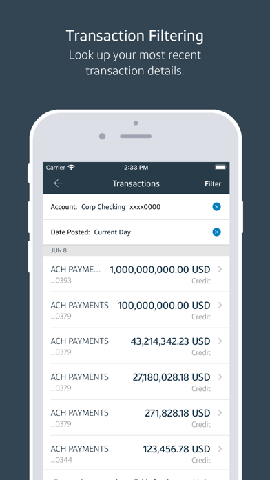 Capital One Intellix® Mobile Screenshot