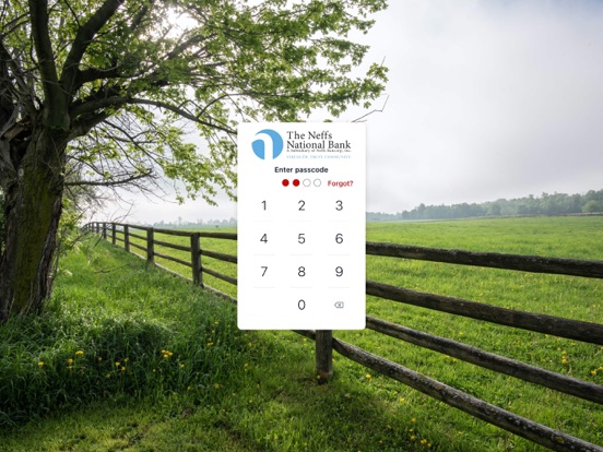 Neffs Bank Mobile iPad screenshot 2 - Finance app