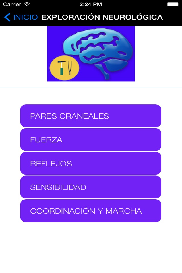 NeuroScores screenshot 2