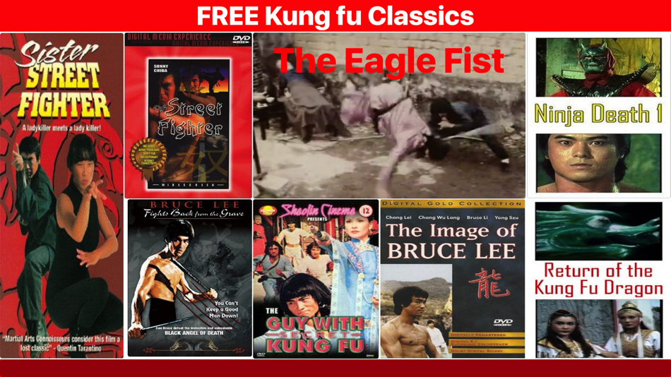 CLASSIC Kung fu - 1.0 - (iOS)