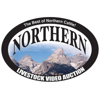 Northern Livestock Auction