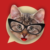 Emoji My Cat logo