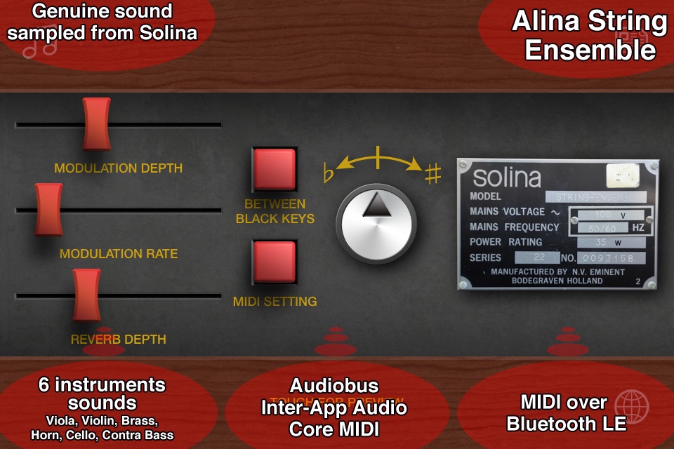 Alina String Ensemble screenshot 2