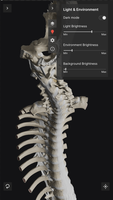 Biomechanics of the Spine Liteのおすすめ画像8