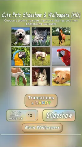 Game screenshot Cute Pets Slideshow & Wallpapers (HD) apk