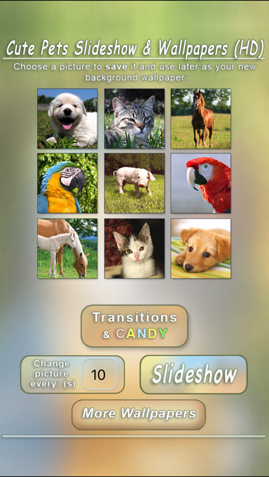 Screenshot #2 pour Cute Pets Slideshow & Wallpapers (HD)