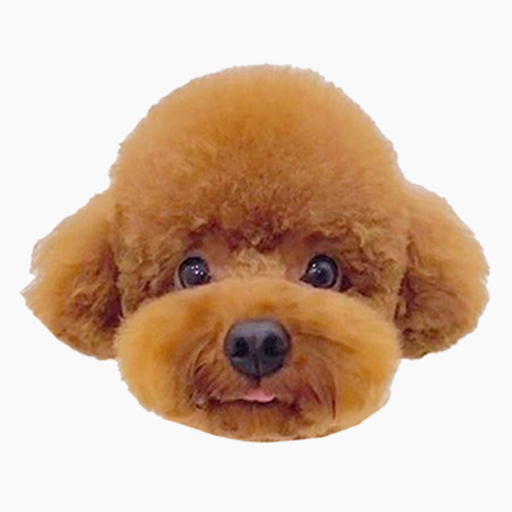 Poodle Dog's Head