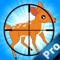 Deer Hunter Addictive Pro - Looking at the Deer