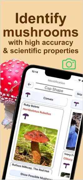 Game screenshot Forest Mushroom Identification mod apk
