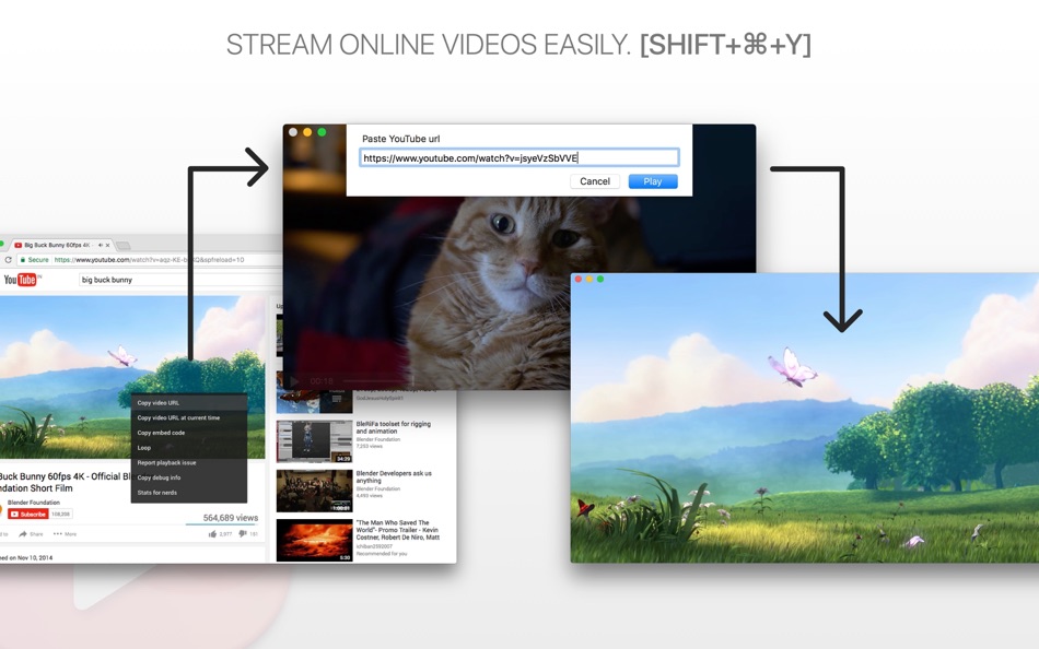 #3. Pro VideoPlayer (macOS) By: Sudip Bag