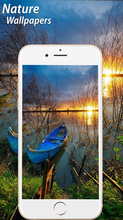 Amazing Natural Wallpapers HD