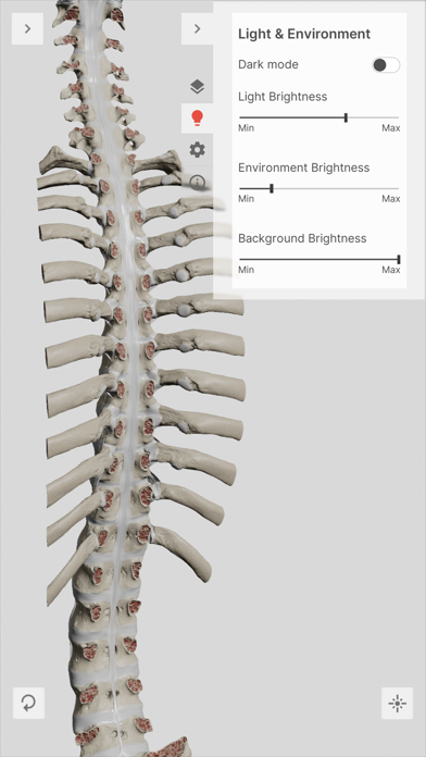 Biomechanics of the Spine Lite Screenshot