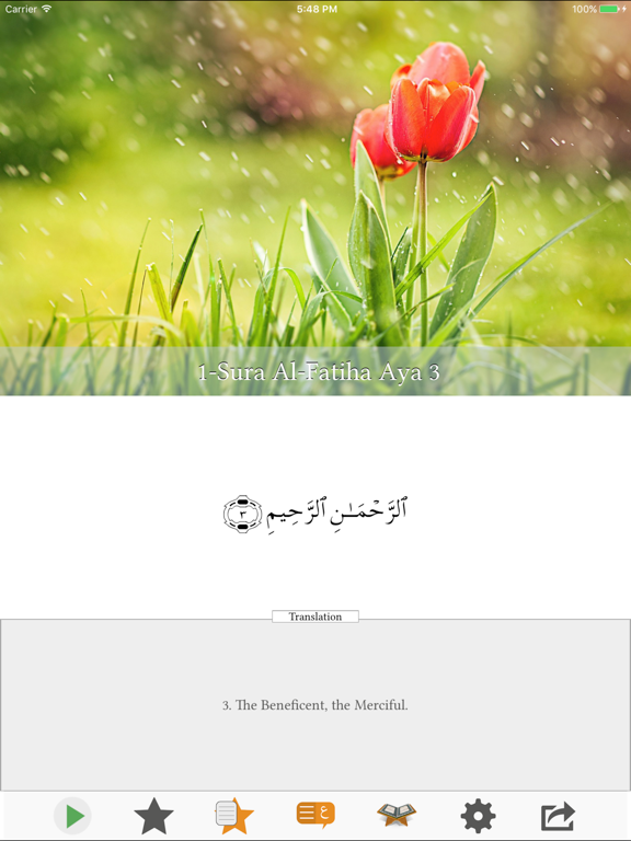 Visual Quran iPad screenshot 5 - Photo & Video app