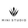 VS Mini Studio