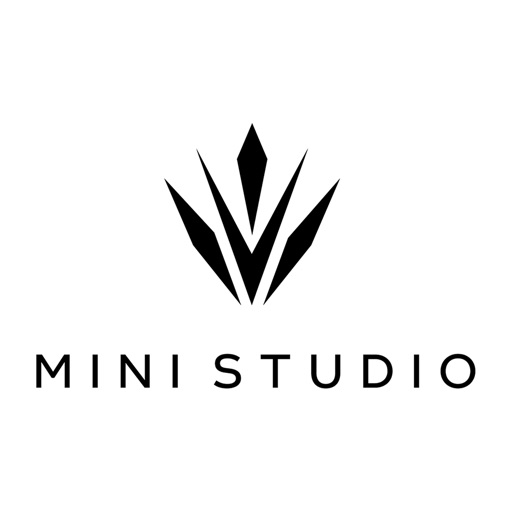 VS Mini Studio