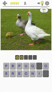 bird world - quiz about famous birds of the earth iphone screenshot 1