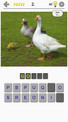 Bird World - Quiz about Famous Birds of the Earth screenshot 1