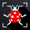 Insect photo Identifier AI - iPadアプリ
