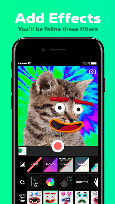 Screenshots of GIPHY Cam. The GIF Creator for iPhone
