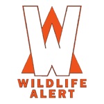 Download FWC Wildlife Alert app
