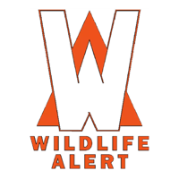 FWC Wildlife Alert