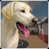 Virtual Pet Shelter Simulator icon
