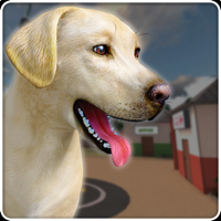 Virtual Pet Shelter Simulator