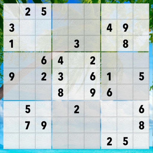 Wuzzle Sudoku iOS App