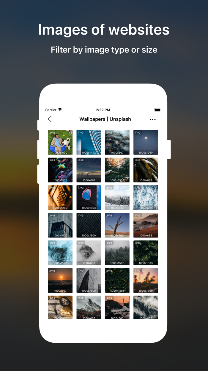 DTNet - Desktop Browser