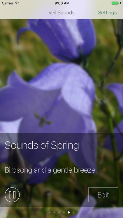 Veil - Concentration and relaxation sounds screenshot-3