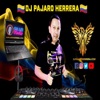 Dj Pajaro Herrera