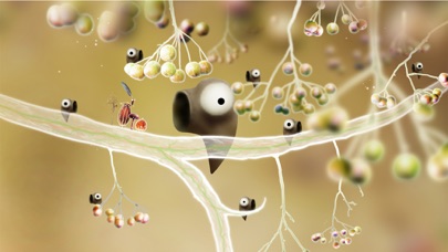 Botanicula (ボタニキュラ) screenshot1