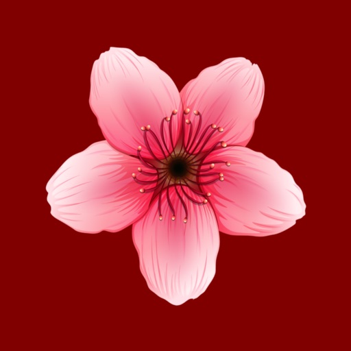 Flower Chat iOS App