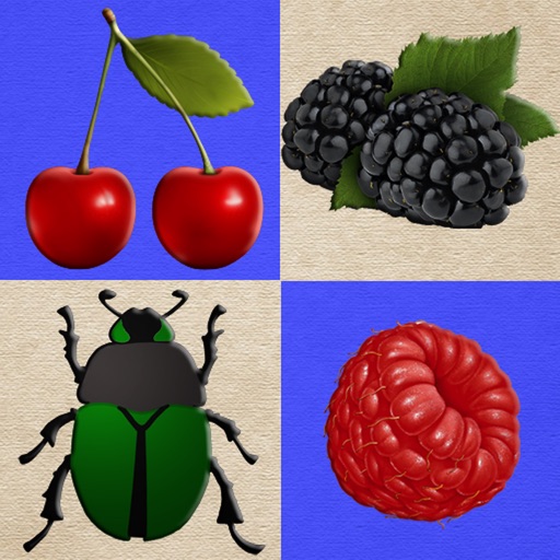 Berries and Bugs