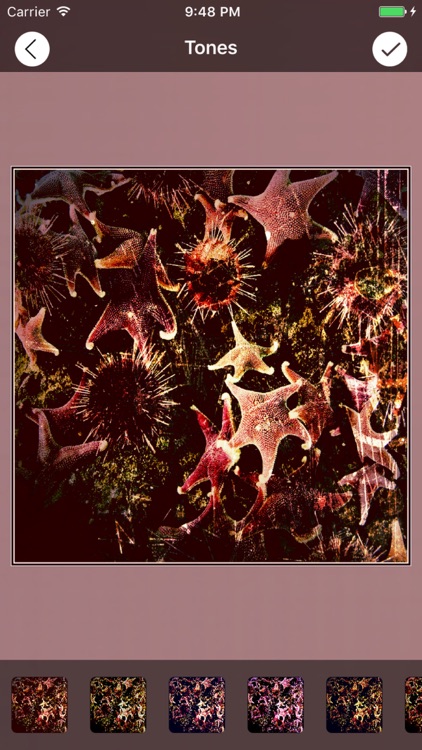 Pic Retro Effects screenshot-3