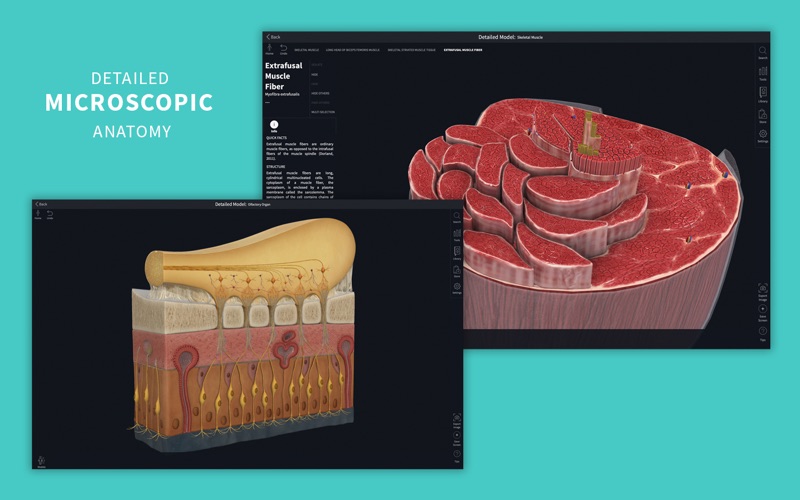 Complete Anatomy 24 Screenshot