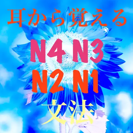 N4 to N1 文法 Cheats