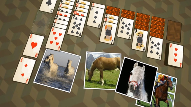 Solitaire Horses(圖3)-速報App