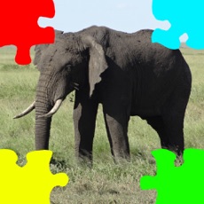 Activities of Elephants Jigsaw Puzzles with Photo Puzzle Maker