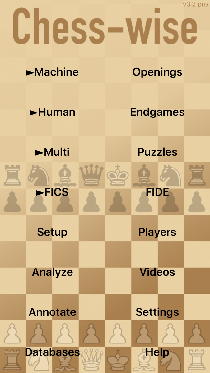 Chess-wise 3 official gameplay screenshot 5