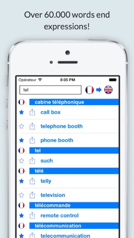 Offline English French Dictionary (Dictionnaire)のおすすめ画像3