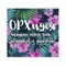 Наш магазин занимается прямыми поставками орхидей, комнатных и уличных растений и среза с Голландии и Эквадора
