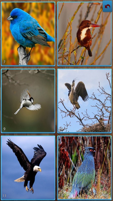 Screenshot #3 pour Birds Jigsaw Puzzles - Titan