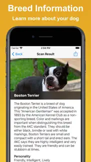 dog scan - breed identifier iphone screenshot 2