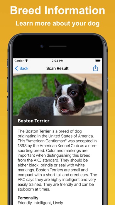 Screenshot #2 pour Dog Scan - Identify Breeds